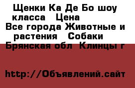 Щенки Ка Де Бо шоу класса › Цена ­ 60 000 - Все города Животные и растения » Собаки   . Брянская обл.,Клинцы г.